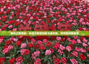 客场之旅再起：米德尔斯堡剑指卡迪夫城，书写胜利新篇章