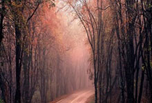 怒吼的河流，沉默的巨人：一个教练的牺牲与传承