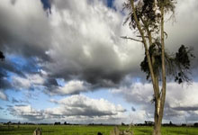 凯泽斯劳滑出降级区，积极调整状态