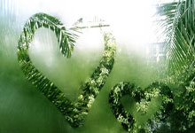 欣喜若狂，球队获胜振奋士气