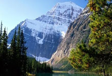 欣喜若狂，球队获胜振奋士气