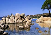 对手战术明晰，球队应有所思